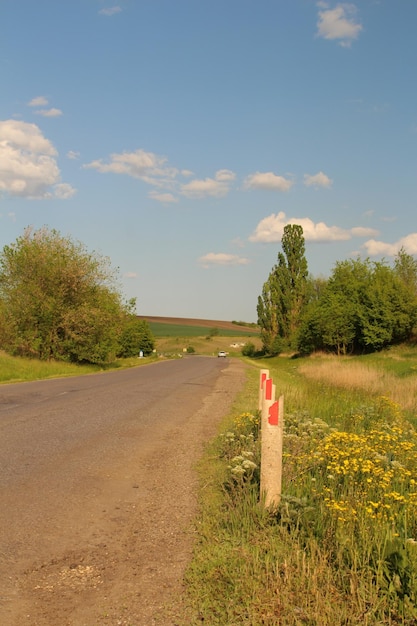 A dirt road with trees on either side of it