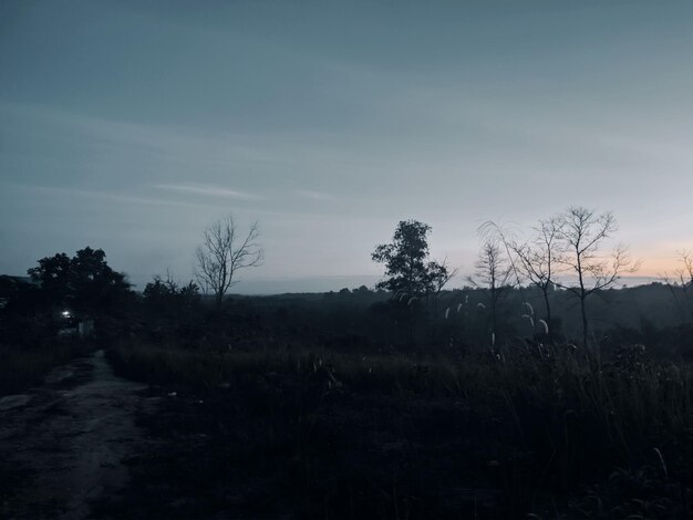 A dirt road with trees and a sky with the sun setting behind it.