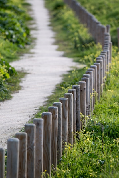 Dirt track path