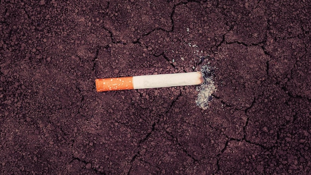 Dirty cigarette on the ground Smoking concept