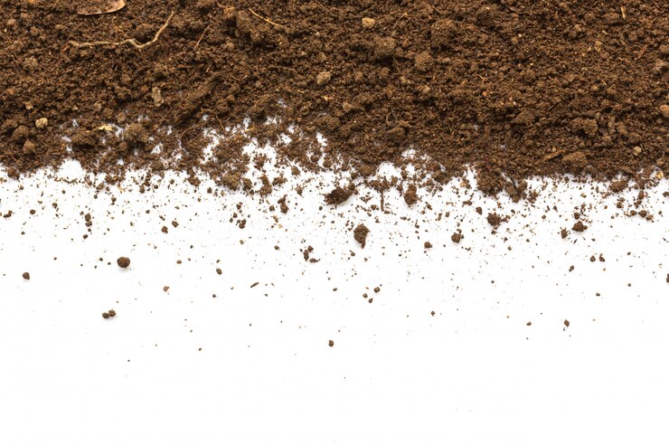 Photo dirty earth. natural soil texture
