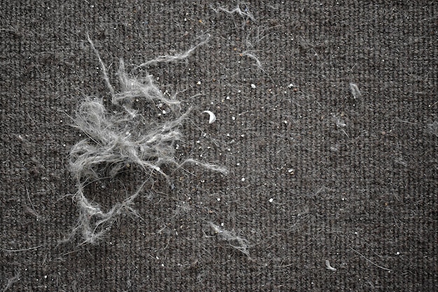 Photo dirty old rug or carpet with pet hair and lots of dust