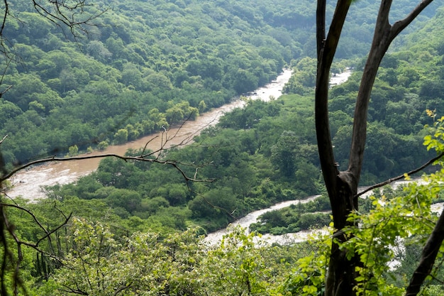 Dirty river seen through the huentitan ravine in guadalajara green vegetation trees plants and mount