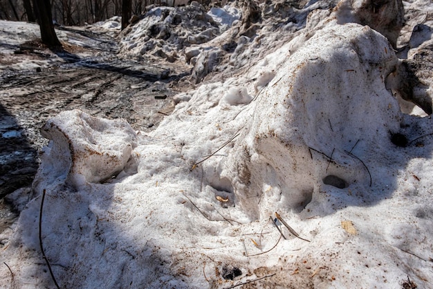 Dirty snow bank Frozen snowdrift mixed with earth Winter day Environmental pollution Cleaning clearing streets from snow