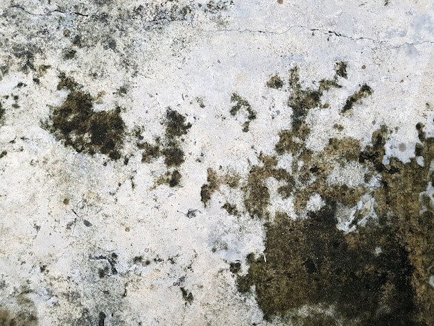 Photo dirty and wet cement