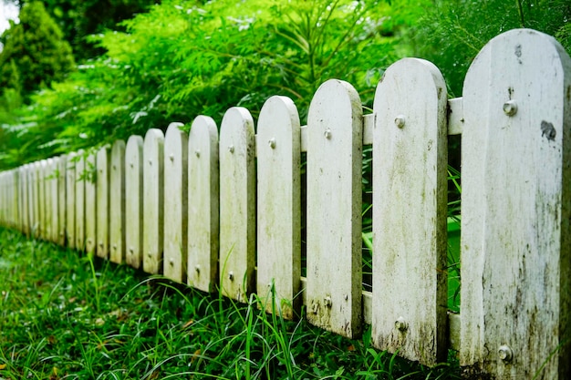 dirty white fences in the garden