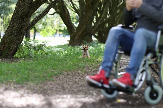 장애인 개념을 가진 사람들을 위해 공원 애완 동물에서 개와 함께 걷는 장애인