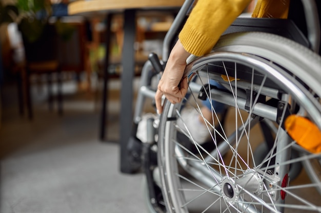 Studente disabile in sedia a rotelle, donna disabile