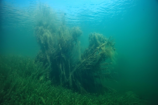 disaster ecology river underwater / landscape pollution ecology underwater