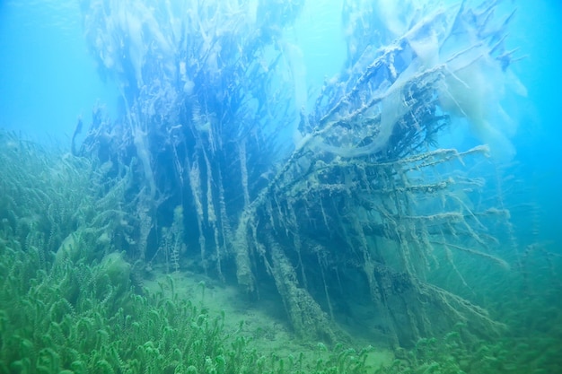 Disaster ecology river underwater / landscape pollution ecology underwater