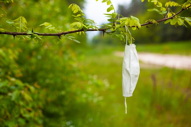 Discarded medical mask on a branch covid-19.