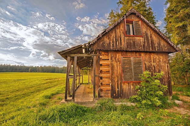 Discarded wooden cabin