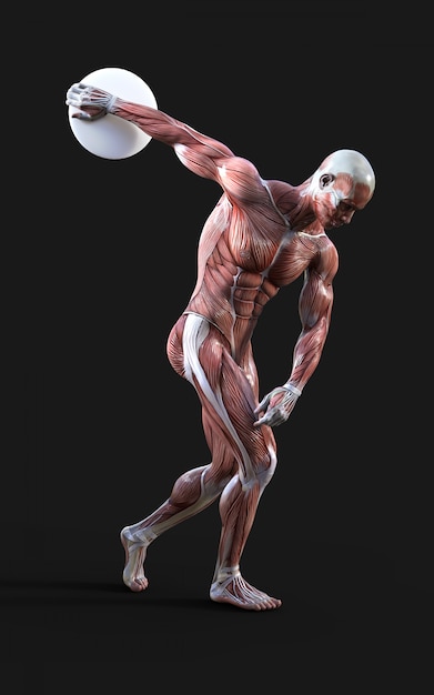 Discobolus - 3D render van mannelijke figuren poseren met spier