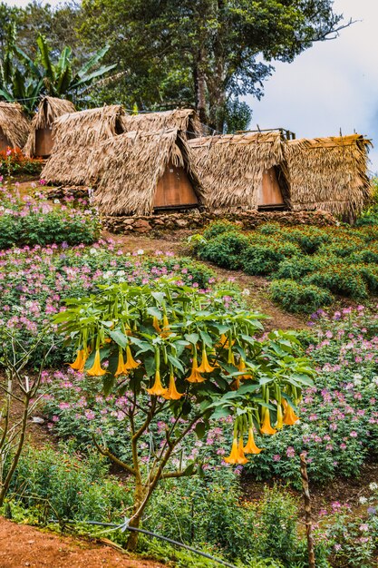 Discovering Thailand