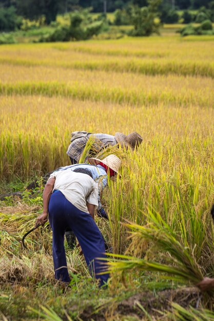 Alla scoperta della tailandia