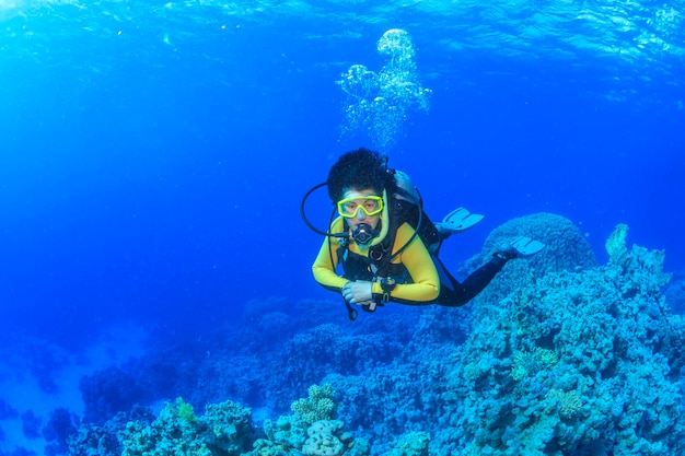 Discovery of the beauty of the underwater world Red Sea