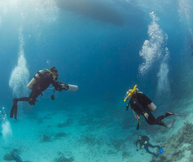 Scoperta della bellezza del mondo sottomarino mar rosso