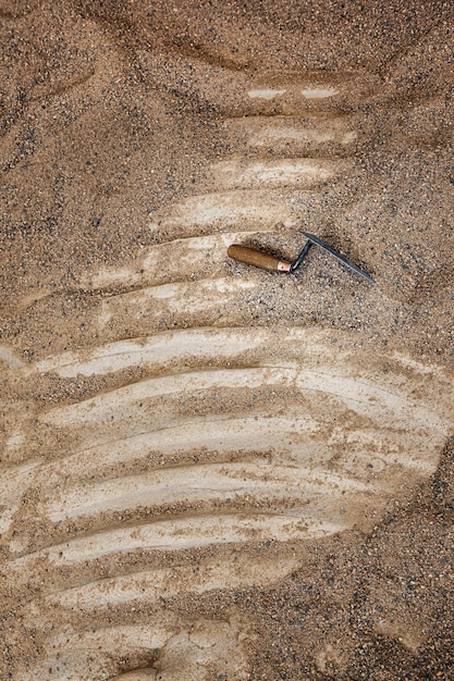 Discovery of a skeleton in the desert