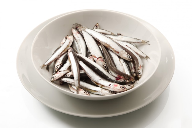 Dish of anchovies on white