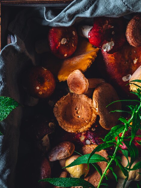 Piatto con funghi ed erbe aromatiche foto di alta qualità