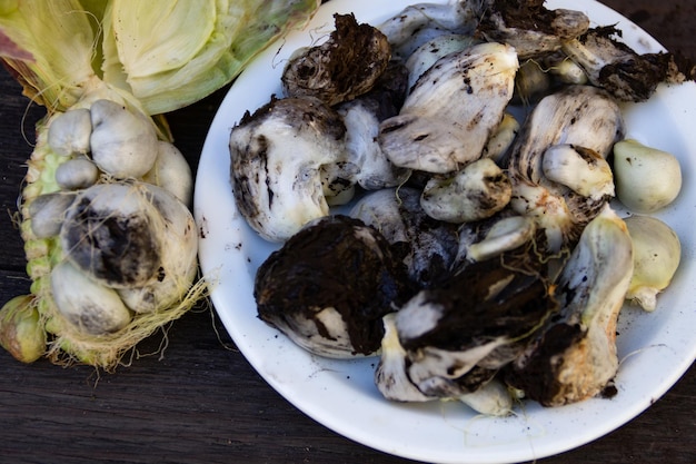 Dish with shelled huitlacoche and cooking ingredients
