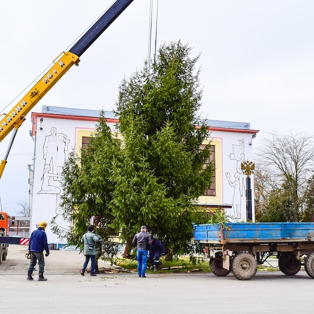 Photo dismantling the christmas tree