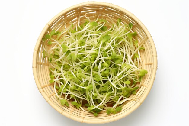 Photo display of fresh mung bean sprouts in a basket isolated on white background