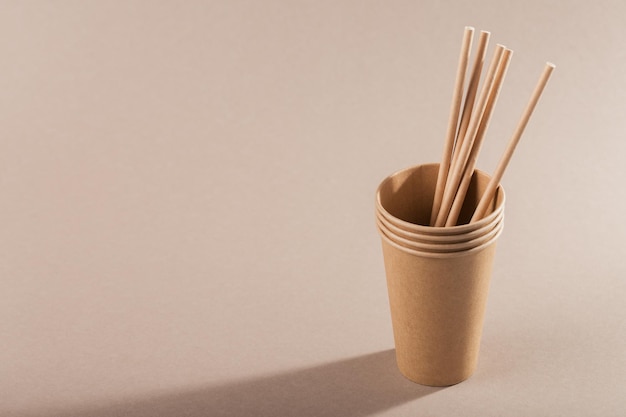 Disposable tableware from natural materials Biodegradable and compostable paper cup straws