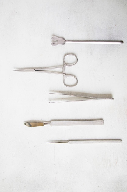 Photo dissection kit - stainless steel tools, scalpel blades included