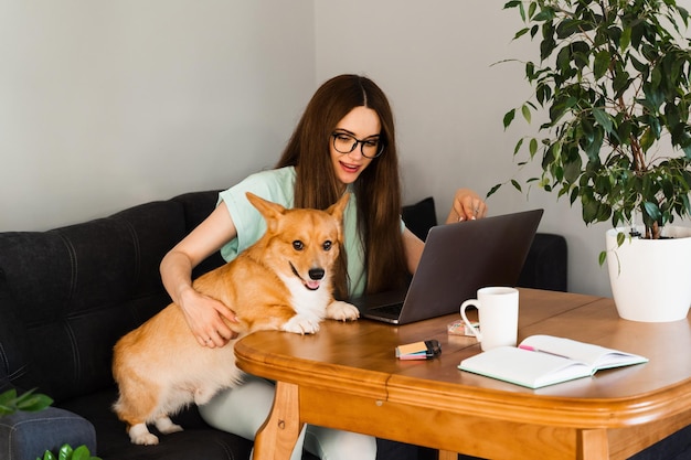 원격 교육 안경을 쓴 여학생이 집에서 사랑스러운 Corgi 강아지와 함께 온라인으로 공부하고 있습니다.