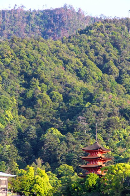 Foto immagine lontana di un tempio rosso tra le montagne e la giungla architettura religiosa dell'asia