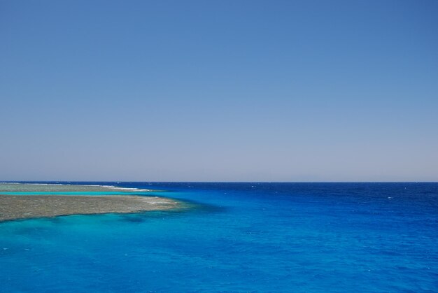 Dive and snorkel on a large colorful coral reef on the sea and snorkel left