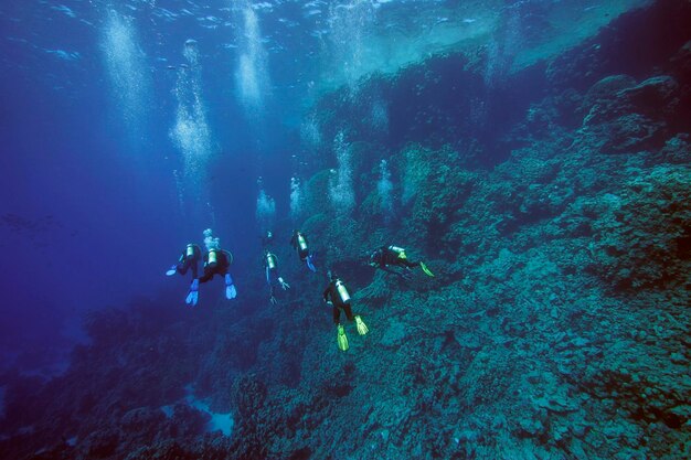 Diver at a reef Zabargad Red Sea Egypt Arfica