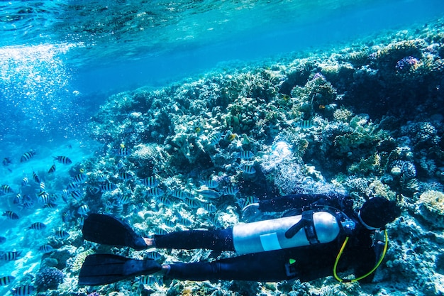 Foto subacqueo che nuota sott'acqua vicino alle barriere coralline tropicali