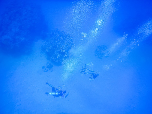 Divers in the blue deep of the red sea in egypt