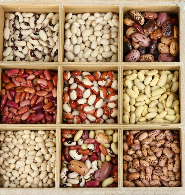 白で隔離木製ボックス セクションで多様な豆