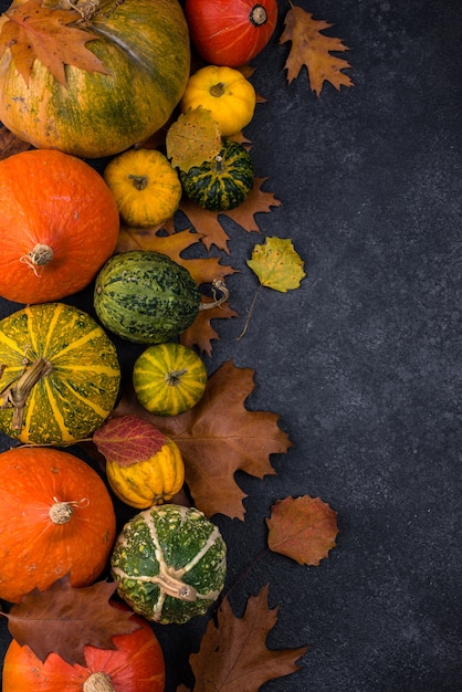 Diverse decoratieve pompoenen en droge bladeren. Herfst oogst