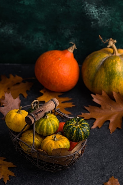 Diverse decoratieve pompoenen herfst concept