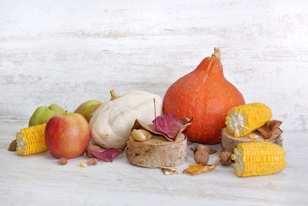 Diverse en kleurrijke herfstgroenten en fruit op witte achtergrond