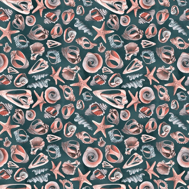 Diverse gebroken schelpen en zeesterren op een donkere achtergrond Aquarel illustratie Naadloos patroon uit de collectie van WHALES Voor stof textiel behang verpakking strand en zomer prints