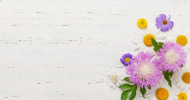 Diverse kleurrijke tuinbloemen over houten achtergrond