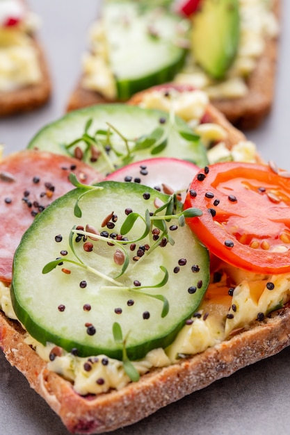 Diverse mini sandwiches met roomkaas, groenten en salami. Broodjes met komkommer, radijs, tomaten, salami op een grijze achtergrond, bovenaanzicht. Plat leggen.