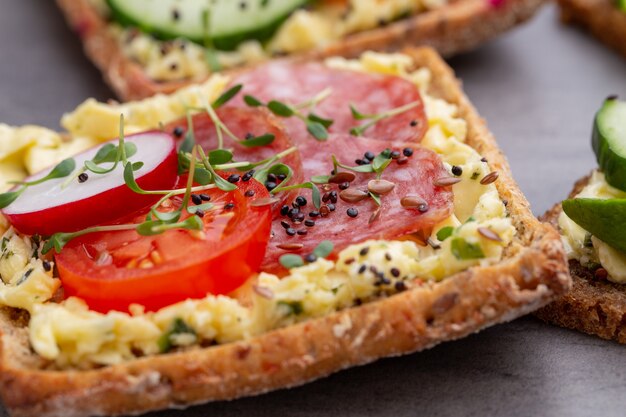 Diverse mini sandwiches met roomkaas, groenten en salami. Broodjes met komkommer, radijs, tomaten, salami op een grijze achtergrond, bovenaanzicht. Plat leggen.