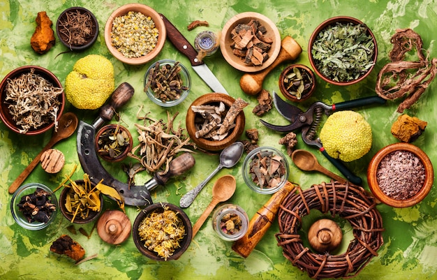 Diverse natuurlijke medische kruiden