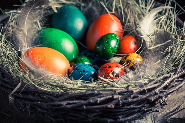 Diverse paaseieren in het rustieke huisje