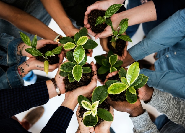 Foto diverse persone mani tenere piante natura