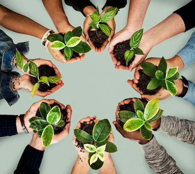 diverse people holding plants in their hands