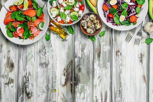 Diverse salades van biologische groenten vis en kaas met olijfolie en kruiden