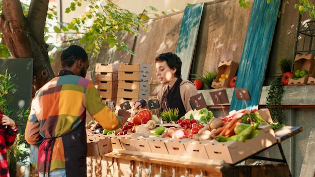 Diverse team of farmers helping clients choose organic produce, selling homegrown bio fruits and vegetables. Local vendor showing eco fresh natural products at street greenmarket.