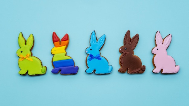 Diversity freedom lgbt pride bunny biscuit rainbow